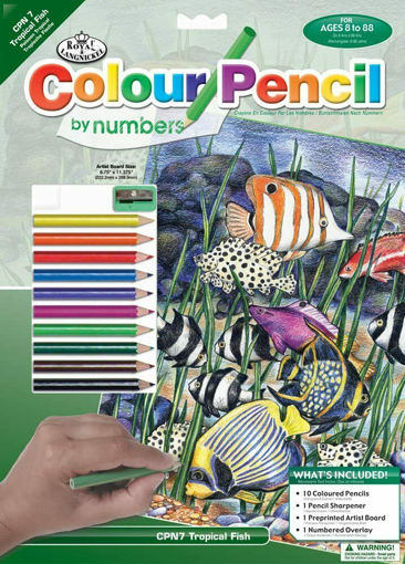 Picture of PENCIL COLOURING BY NUMBER - TROPICAL FISH